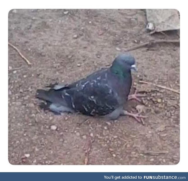 Sometimes you just gotta sit down and have a moment