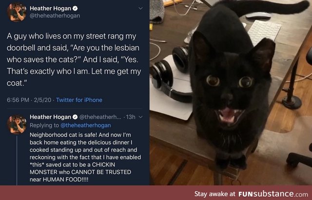 Are you the lesbian whom saves the cats?