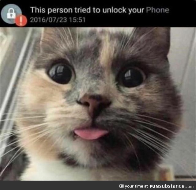 This Person Tried To Unlock Your Phone
