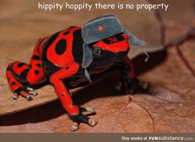 Froggo Fun #170/Russia Day - This Is My Frog One Month in Russia