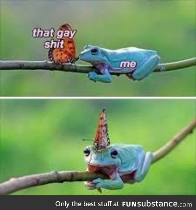 Froggo Fun #172 - They're Just Buttering the Frog Up