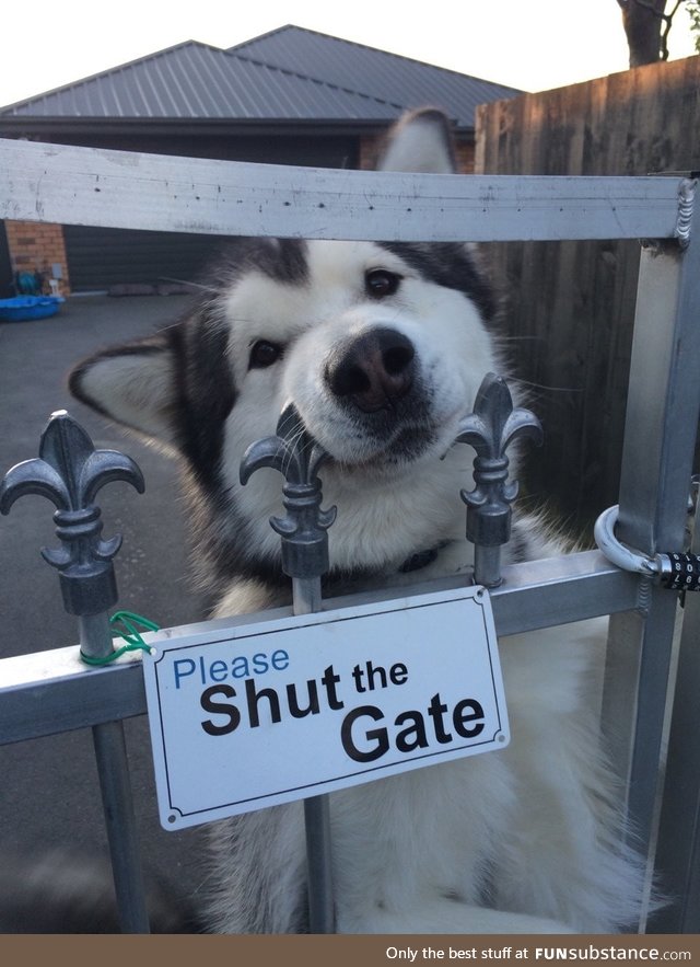 ………open the gate