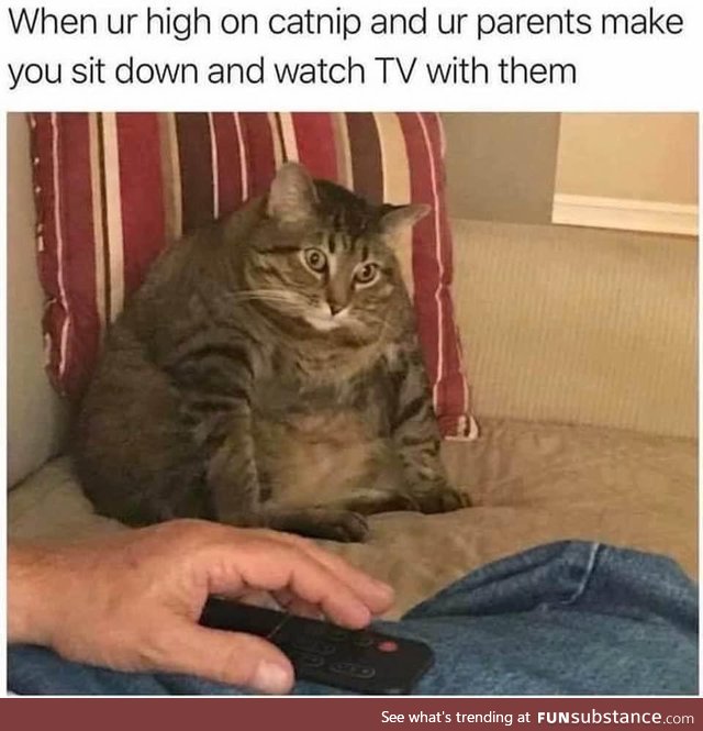Happens every time