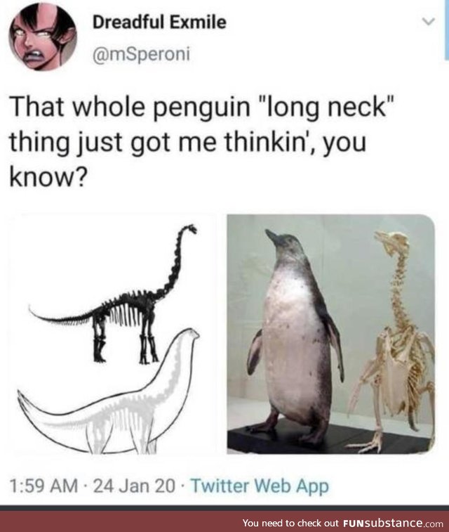Neck boys