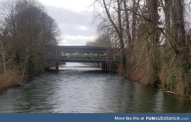 This library is built over a river