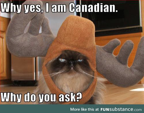 Canadian Cat
