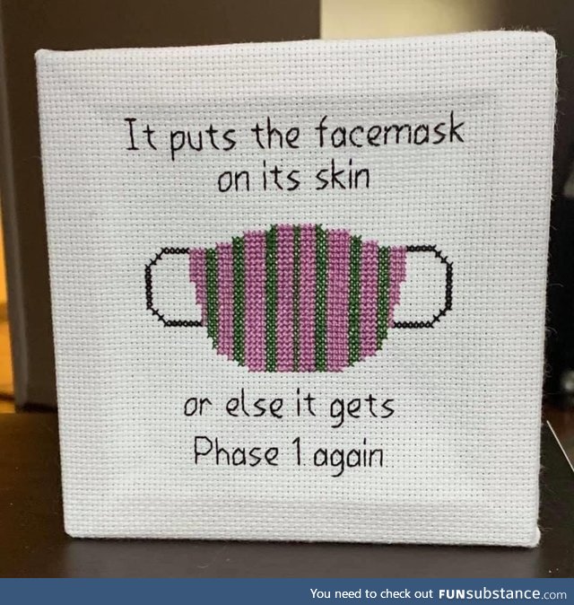 Best needlepoint I’ve ever seen