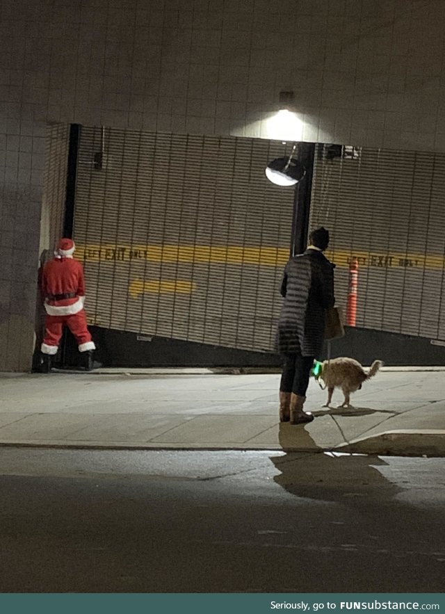 I captured the essence of San Francisco. Drunk santa peeing while an animal shits on the