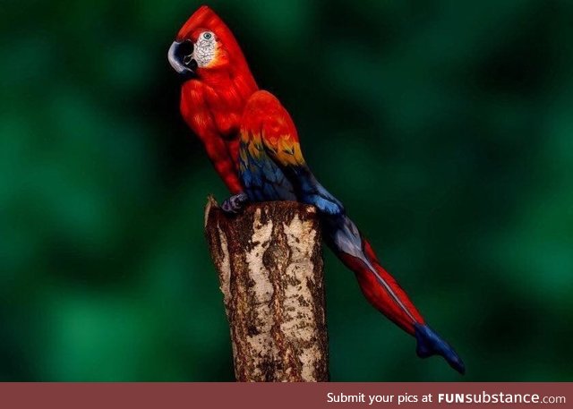 This is a woman in body paint