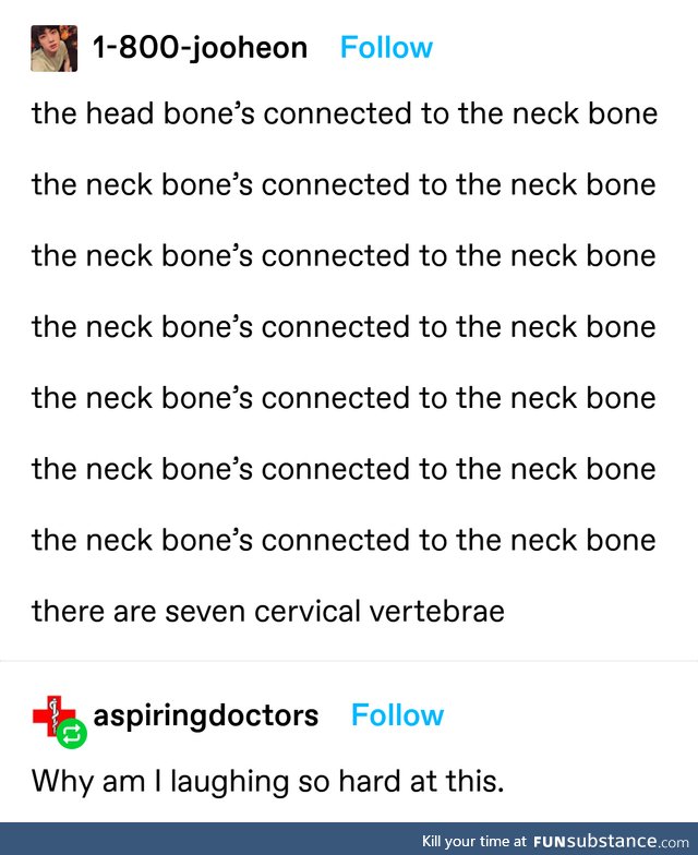Time for an anatomy lesson