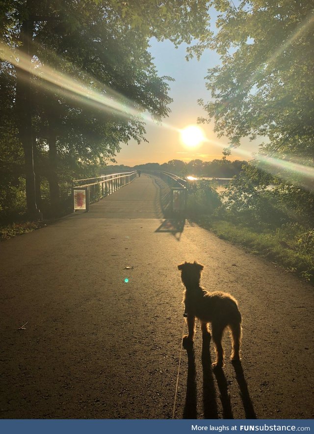 Behold, my goodest boy