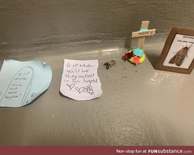 Found this in the stairwell at work today. RIP little buddy