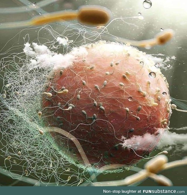 Life, potentially