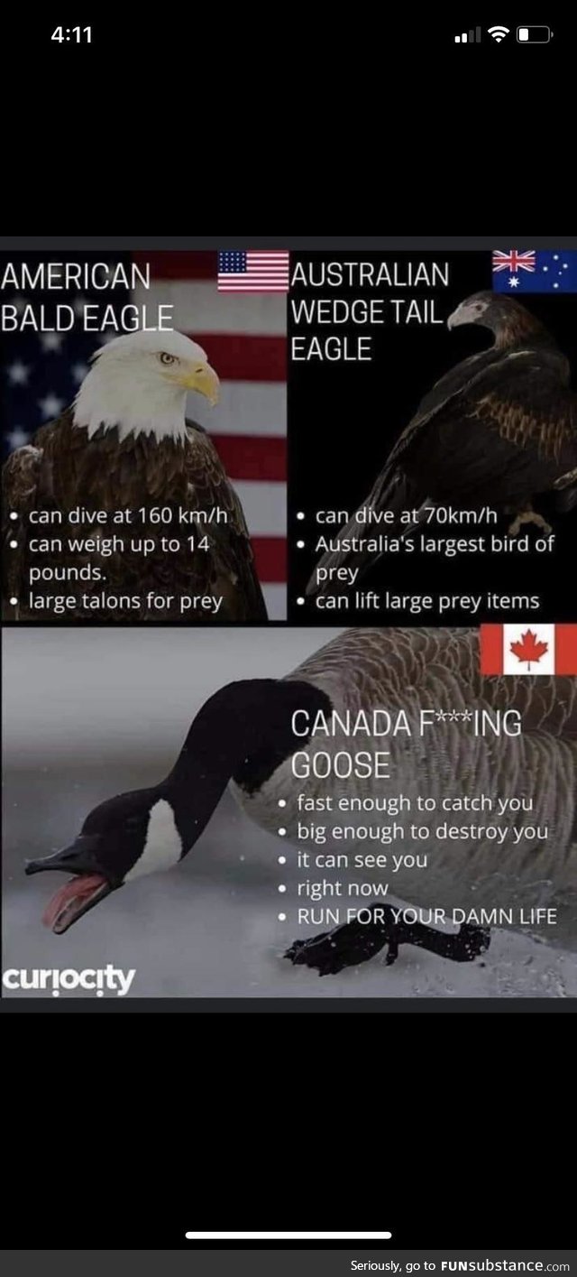 Birds around the world