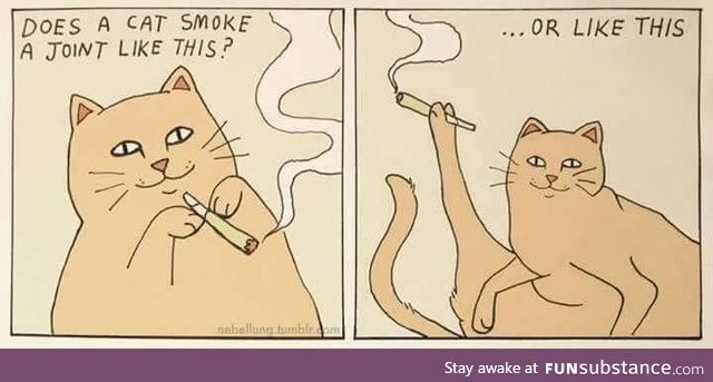 How cats smoke a joint