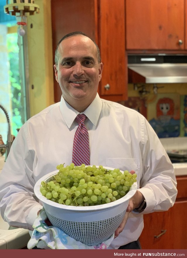 My step dad doesn’t have a green thumb on him, but he planted his own grape vines two