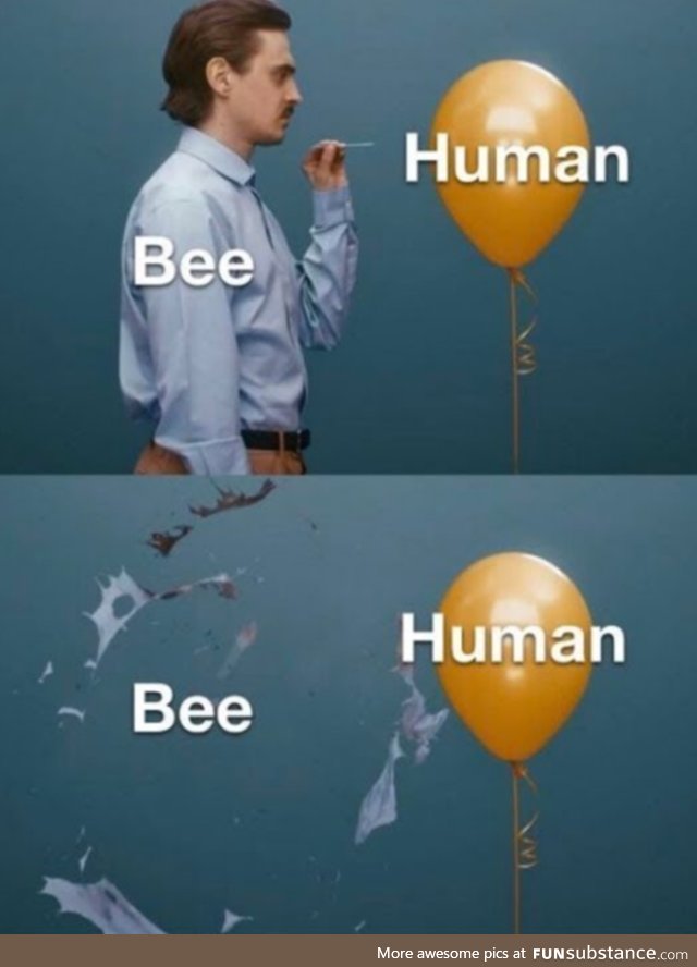 Bees, basically