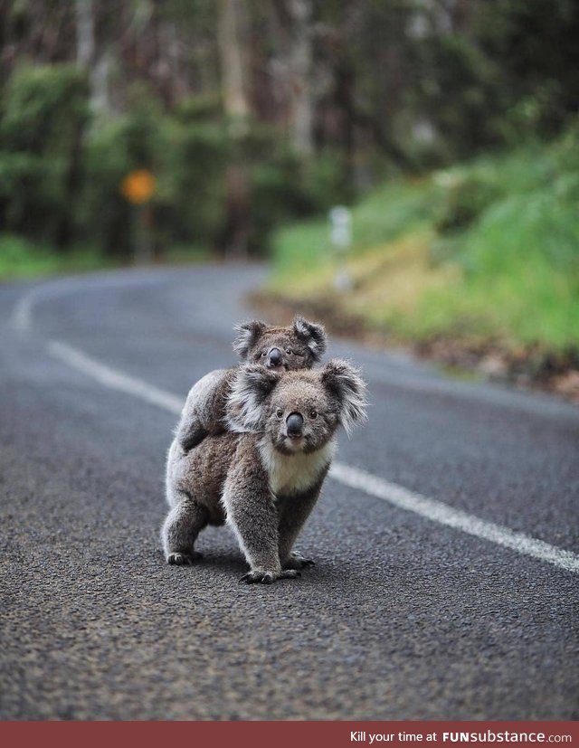 Life on the road in Australia