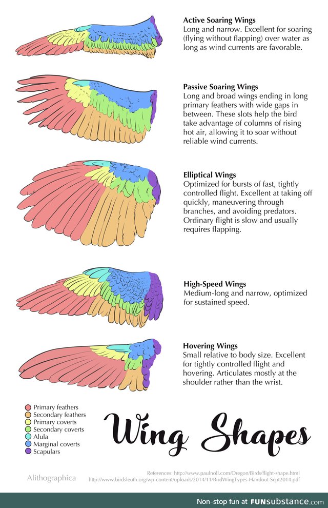 Birds of a feather, and all that jazz