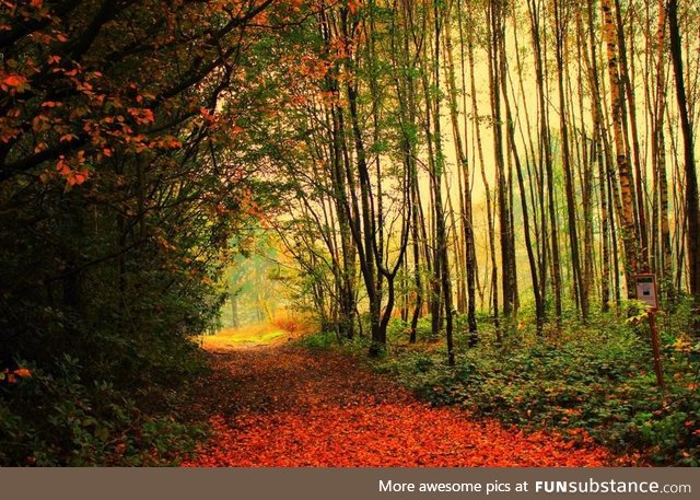 Light at the end of the pathway