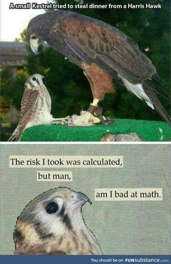 *** you math