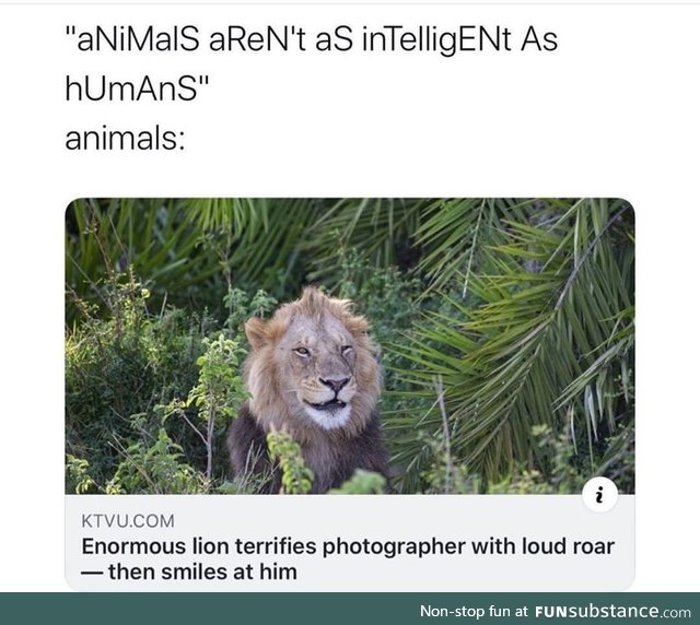 Just kiddin, bud