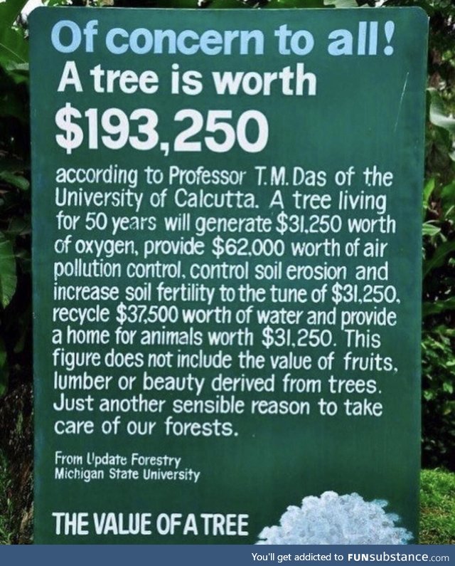 The value of a tree