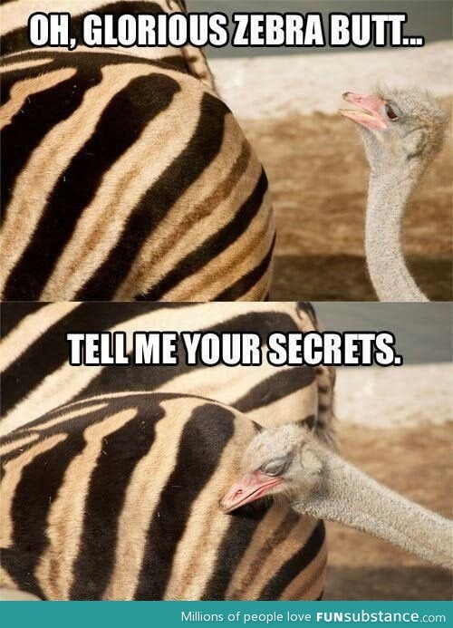 Tell me your secrets