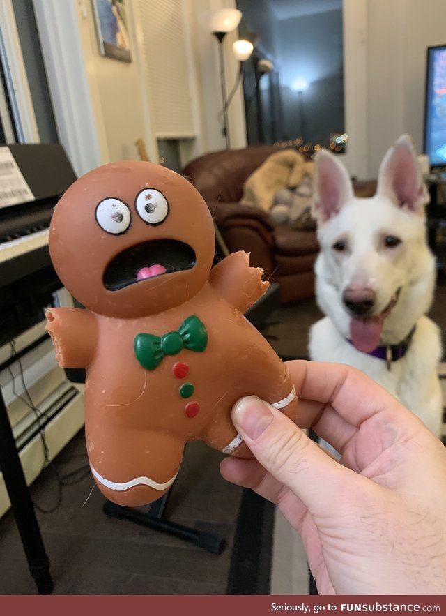 Chew toy in agony