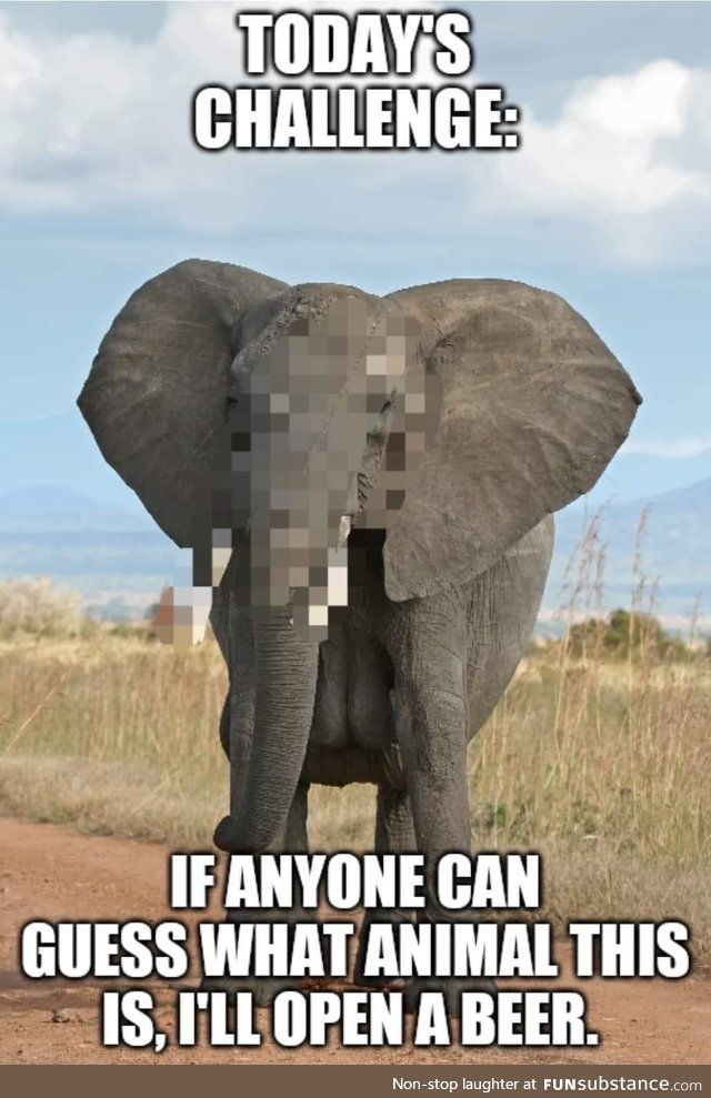 Bahaha tgif!!