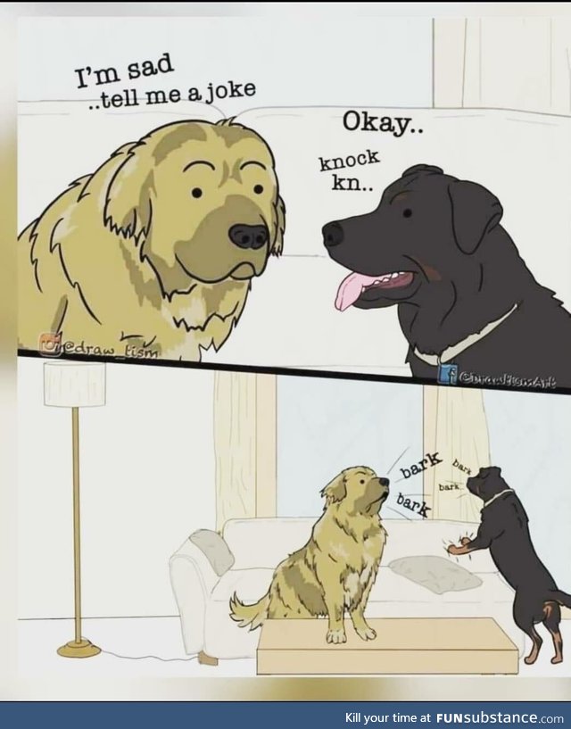 Dogs are the joke