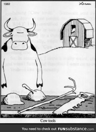 cow tools