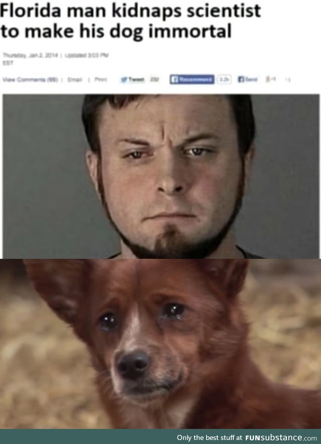 The hero dogs deserve