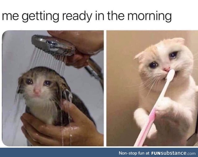 Oh no, please not again