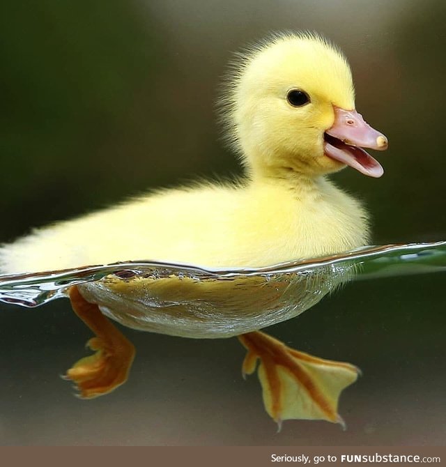 Swimming for the first Time