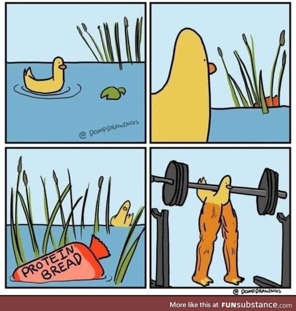 Duck gains! Hope everyone had a lovely day today! If you have no one to talk to about