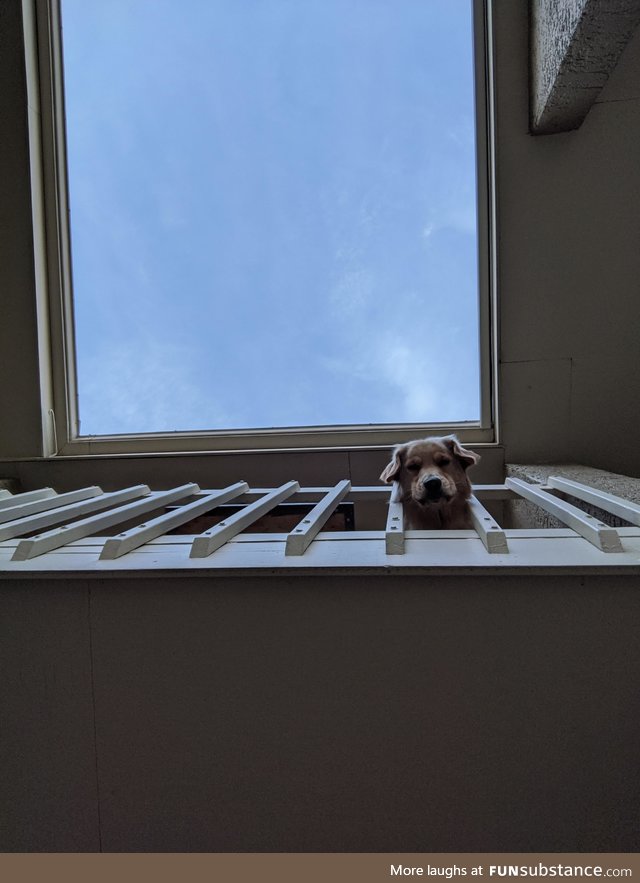 So we're decorating our balcony for Halloween and my boyfriend tells me to look up