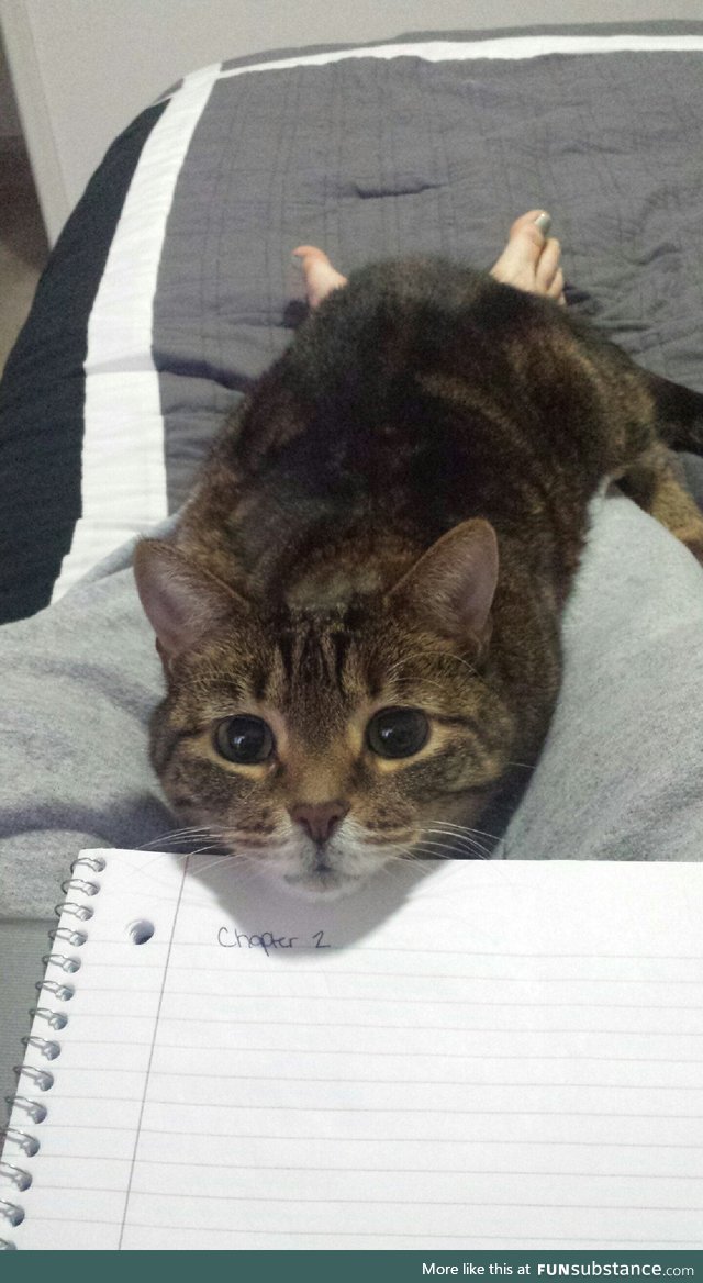 Hey are you done with your homework yet?!