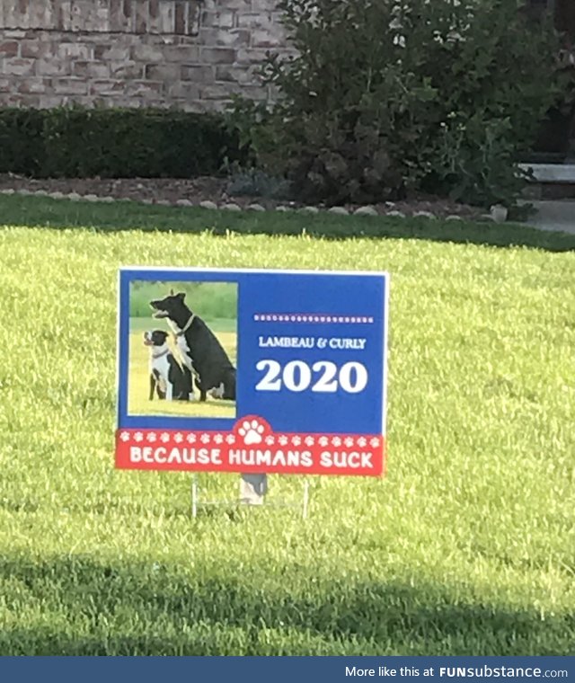 House next door in our politically divided neighborhood