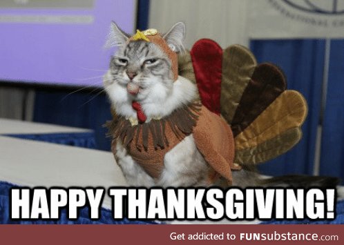 Happy Catnadian Thanks-Giving