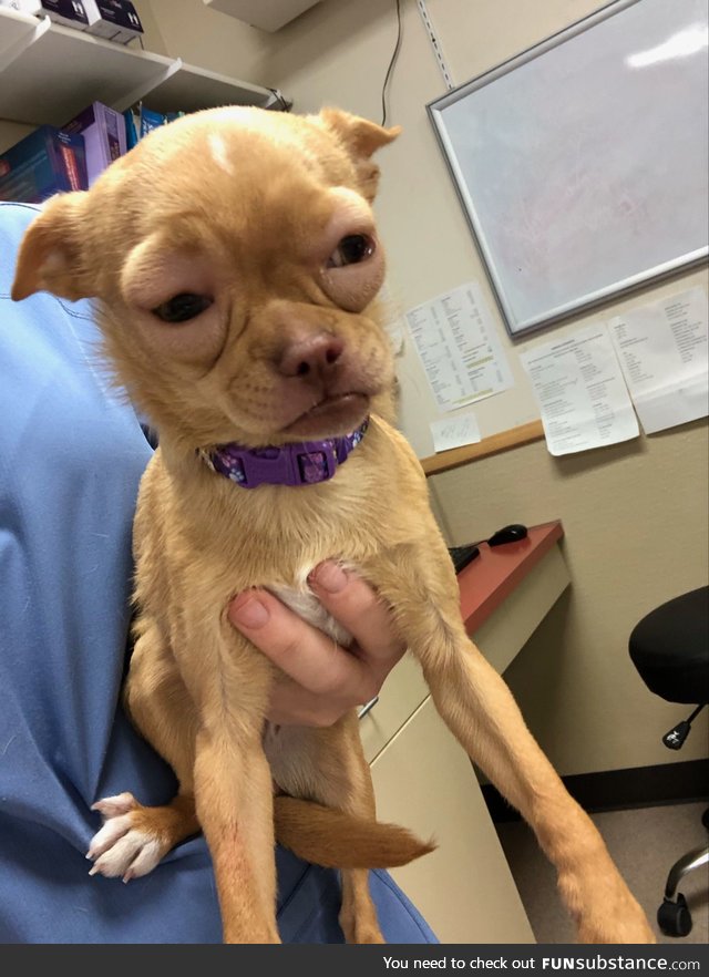 One of our patients had an allergic reaction