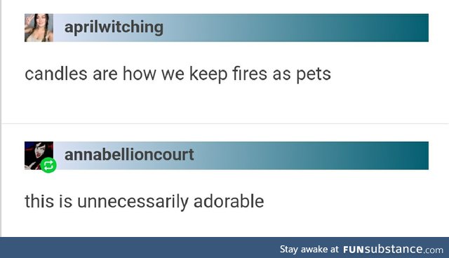 Other pets can't hold a candle to fire