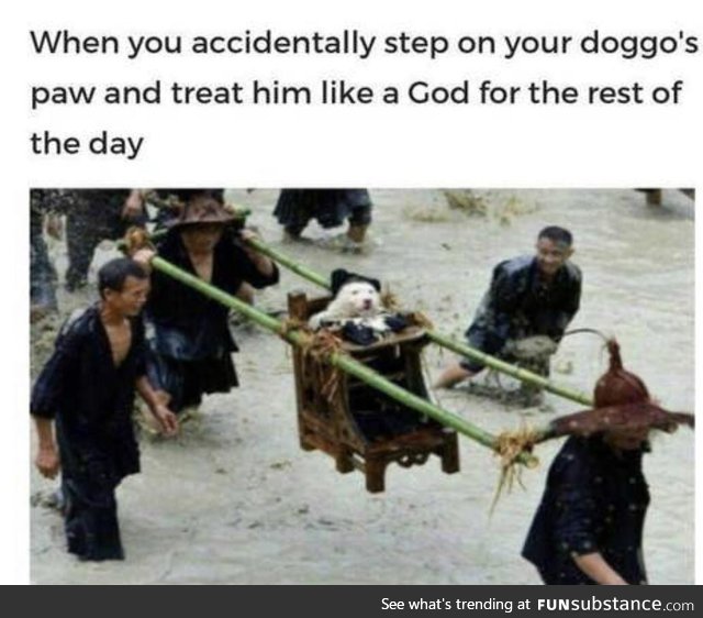 You are the master, now