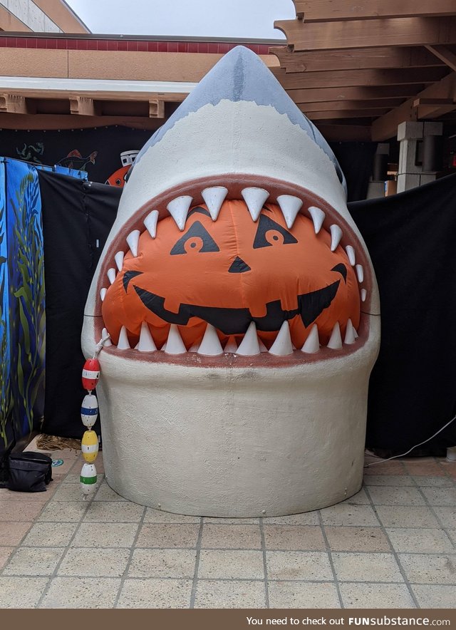 Decorations at my local Aquarium