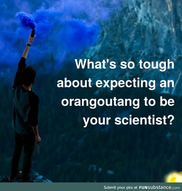 Daily dose of bad wisdom #52