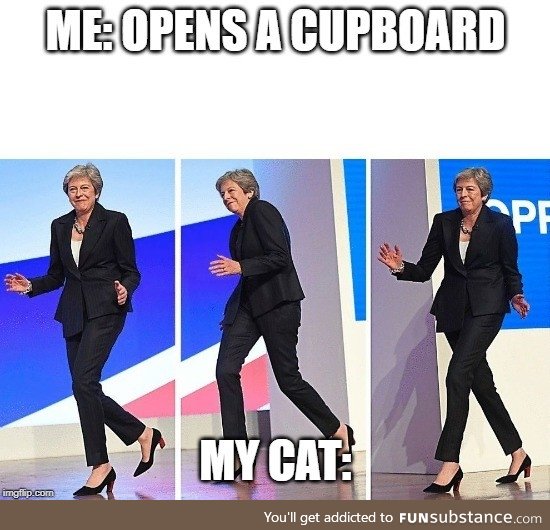 Every. Single. Time