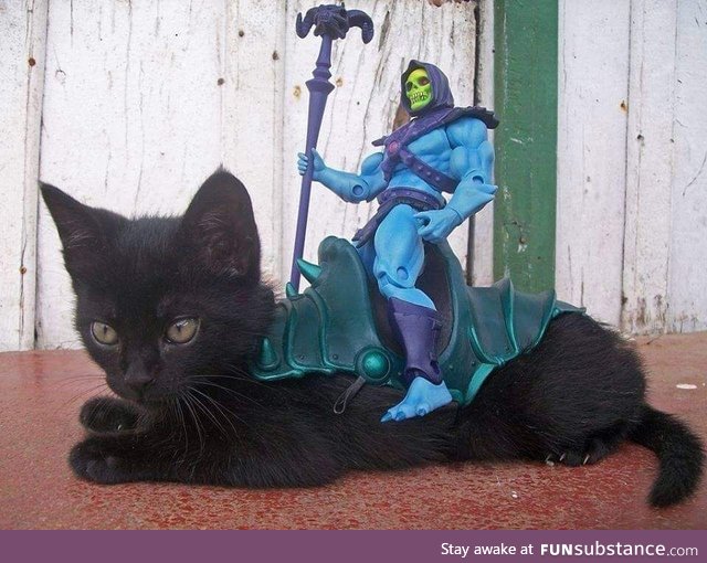 Skeletor and Panthor