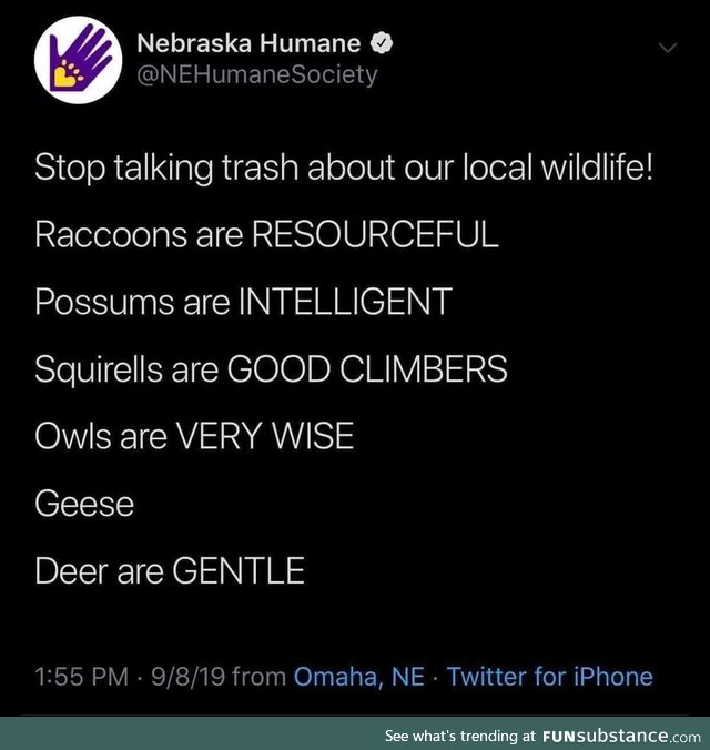 Respect our wildlife