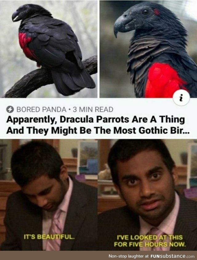 Invincible weakest Woodcock