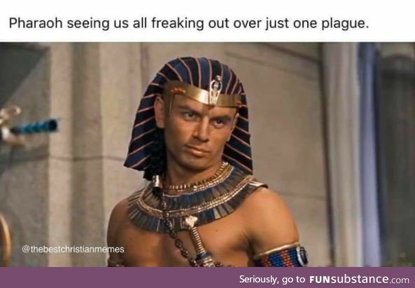 Pharaoh seeing us freak out over one little plague